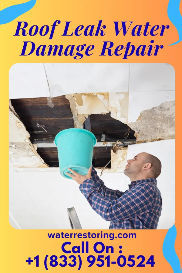Roof Leak Water Damage Repair in Lenoir, NC