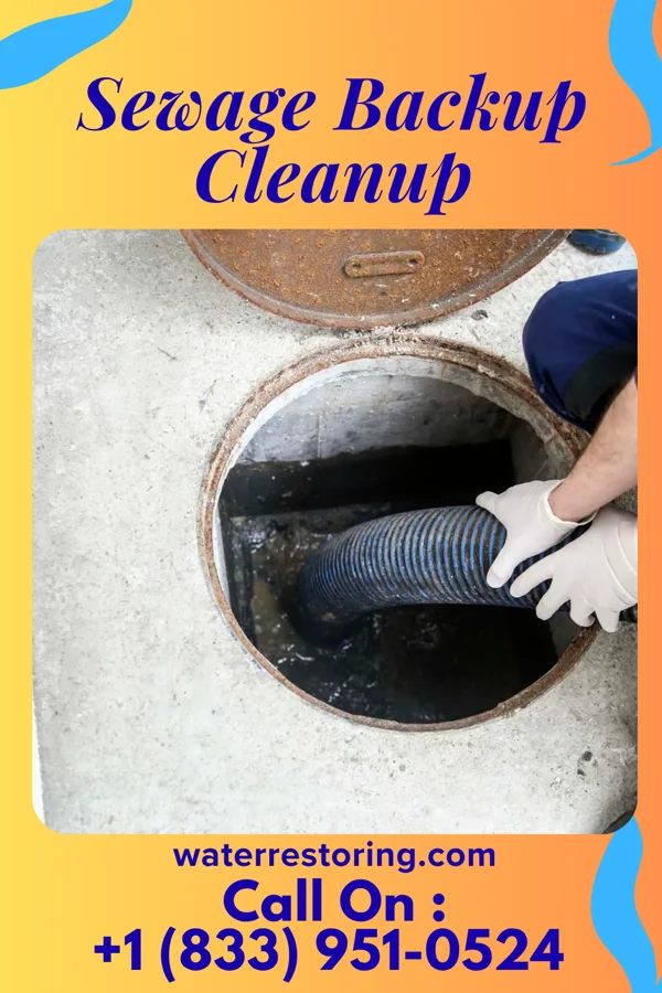 Sewage Backup Cleanup in Lenoir, NC