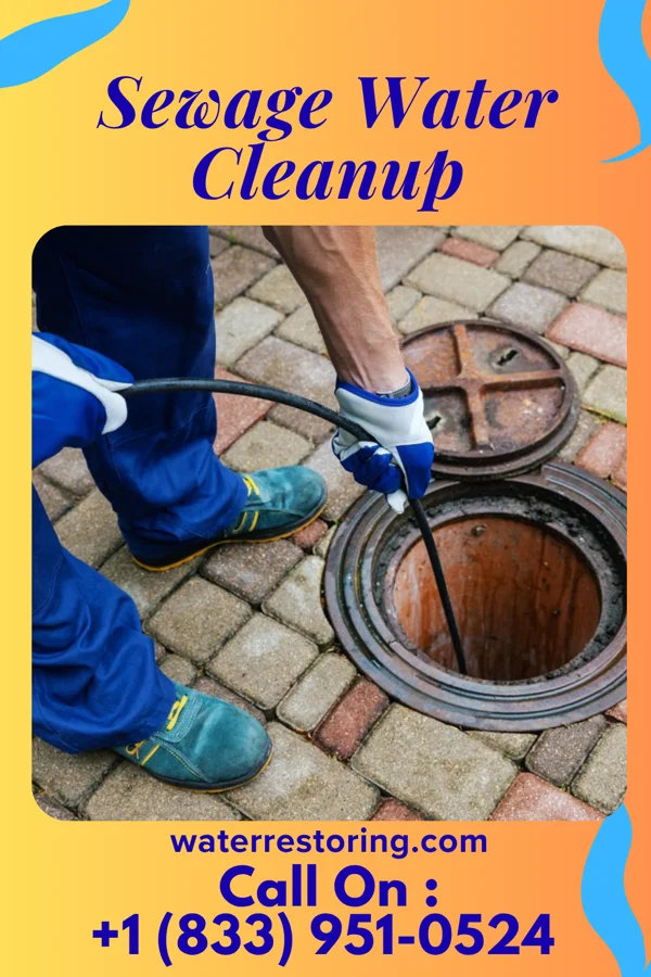 Sewage Water Cleanup in Lenoir, NC
