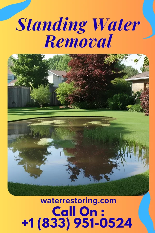 Standing Water Removal in Lenoir, NC